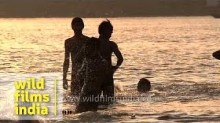 Boys having fun splashing around in the river Ganges Varanasi [upl. by Acquah]