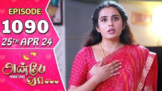 Anbe Vaa Serial  Episode 1090  25th April 24  Virat  Shree Gopika  Saregama TV Shows Tamil [upl. by Hallagan]