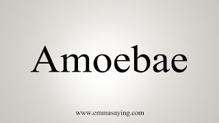 How To Say Amoebae [upl. by Budge]