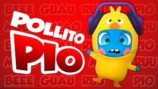 🐣 El Pollito Pio 🐥 Il Pulcino Pio 🐤 Official cover by Baby Moonies [upl. by Arres]