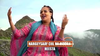 FARXIYA FISKA  HARGEISAAY CIIL HA MUDAN  MUUQAAL LAYAAB LEH  HORNSAT MUSIC SHOW LIVE [upl. by Ivett]