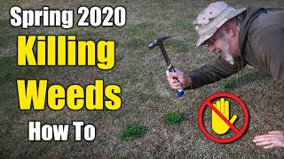 Killing Lawn Weeds  Winter and Early Spring [upl. by Stacia671]