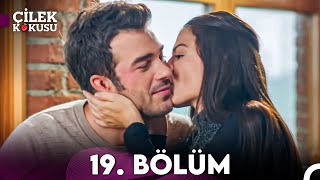 Çilek Kokusu 19 Bölüm [upl. by Dlarej]