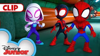 Halted Holiday 🎉  Marvels Spidey and his Amazing Friends  disneyjunior [upl. by Nylesoy]