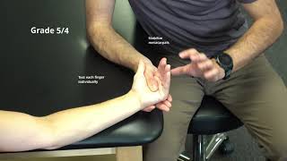 Manual Muscle Test for Metacarpophalangeal Flexion [upl. by Analed]