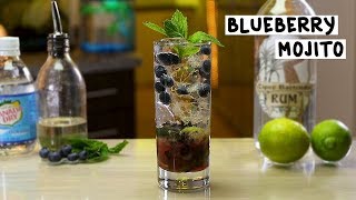 Blueberry Mojito  Tipsy Bartender [upl. by Aztin]