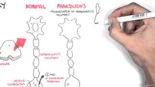 Pharmacology  Parkinsons Disease [upl. by Flss128]