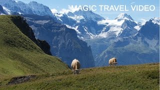 Grindelwald  Männlichen  Kleine Scheidegg  Panorama Trail [upl. by Attehcnoc746]