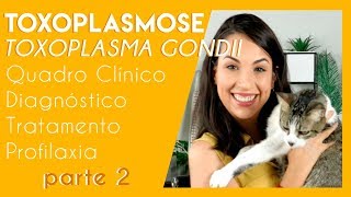 Toxoplasmose toxoplasma gondii  Parte 2  PARASITOLOGIA 4 [upl. by Di]