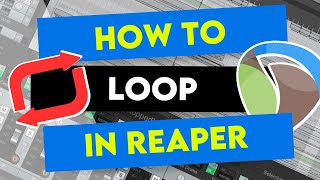 How to Loop in REAPER Beginners Guide [upl. by Bee]