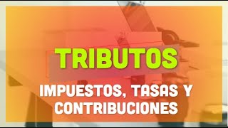 Tributos  Impuestos Tasas y Contribuciones [upl. by Adnawat]