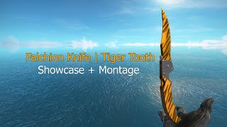 Falchion Knife  Tiger Tooth SHOWCASE  MONTAGE [upl. by Ferriter]