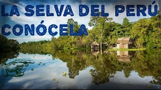 LA SELVA DEL PERÚ DOCUMENTAL [upl. by Knorring379]