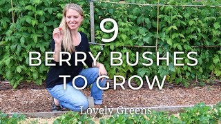 9 Types of Berry Bushes to grow in your Garden [upl. by Assila865]