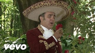 Vicente Fernández Hijo  Desde Que Tú Te Fuiste [upl. by Htebirol]