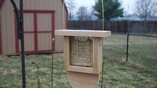 How to Make a Suet Bird Feeder woodloggercom [upl. by Kristofer]