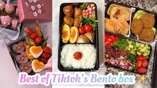 Bento Box 🍱  Tiktok Compilation 3 [upl. by Fihsak646]