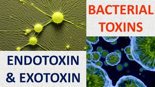 Bacterial toxins Endotoxin amp Exotoxin [upl. by Charbonneau]