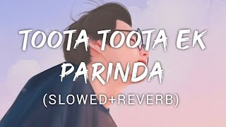 Toota Toota Ek Parinda  Kailash kher  Music Lyrics [upl. by Aivataj]