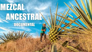 OAXACA Y SU MEZCAL ANCESTRAL  Documental [upl. by Olathe]