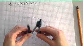 Fibonacci Tutorial [upl. by Gabriele]