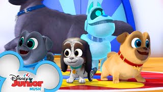 Puppy Playcare Song 🐾  Music Video  Puppy Dog Pals  Disney Junior [upl. by Eseyt665]