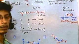 Antigens and antibodies [upl. by Ylrebmyk]