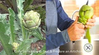 How to Prepare An Artichoke – Bruno Albouze [upl. by Yruoc655]