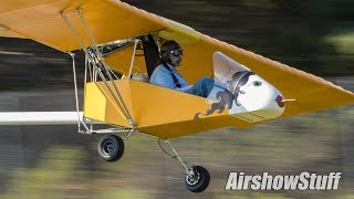 Fixed Wing Ultralights  Grass Runway  EAA AirVenture 2018 [upl. by Guttery474]