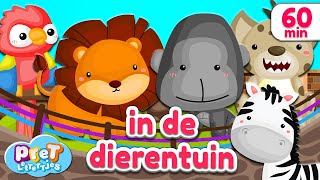 Pretlettertjes • Dierengeluiden in de Dierentuin • 60 min Special [upl. by Beryle929]