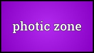 Photic zone Meaning [upl. by Spaulding]