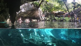 Cenotes of Tulum Mexico  Cancun Snorkeling [upl. by Aliak209]