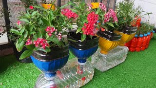 How To Incorporate Planters and Pots Into Your Flowerbed  KFOR 4 Your Garden [upl. by Ralston]