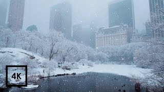 Snowfall in Central Park New York  Walking in Central Park in the Winter Snow [upl. by Nwahs]