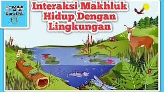 Interaksi Makhluk Hidup Dengan Lingkungan  Pola Interaksi Dalam Ekosistem  Simbiosis [upl. by Yrrat]