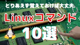 【とりあえず覚えておけば大丈夫】Linuxコマンド10選についてお話します [upl. by Shaefer]