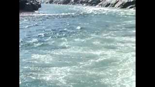 Gomukh Se Ganga Sagar Documentary Film [upl. by Becka420]