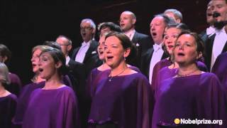 The Gustaf Sjökvist Chamber Choir performs Anthem and Kärlekens Tid at the Nobel Banquet 2015 [upl. by Hulburt]