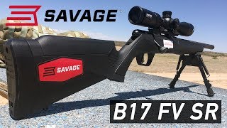 Savage Arms B17 FV SR Review [upl. by Stanway]