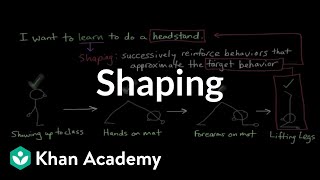 Operant conditioning Shaping  Behavior  MCAT  Khan Academy [upl. by Grayce]