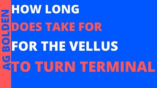 how long does it take for vellus hairs to become terminal [upl. by Naivatco]