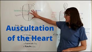 Auscultation of the Heart [upl. by Hofstetter942]