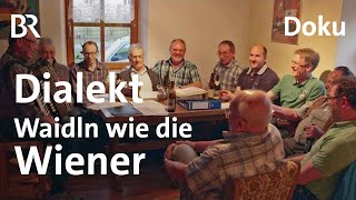 BairischWienerisch Hä und Glä  Der Dialekt von Rattenberg  Spessart und Karwendel  BR  Doku [upl. by Nnairahs]