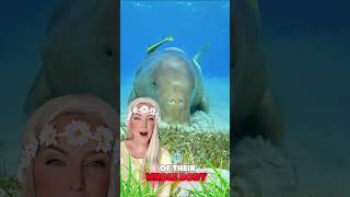 3 Amazing Facts About Manatees  Discover the Gentle Giants of the Sea [upl. by Adialeda]