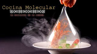 Cocina Molecular  Cuando la Ciencia Entra a la Cocina [upl. by Ettolrahs]