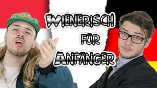 WIENERISCH FÜR ANFÄNGER  DEUTSCHLAND vs ÖSTERREICH  bissl Dialekt [upl. by Deckert347]