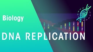 DNA Replication  Genetics  Biology  FuseSchool [upl. by Venuti]