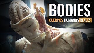 Bodies un recorrido por el cuerpo humano [upl. by Mcintosh23]