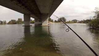 How to catch bream on bait around a bridge  basic bream fishing [upl. by Quinby140]