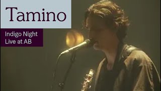 Tamino  Indigo Night Live at AB  Ancienne Belgique [upl. by Hausner352]